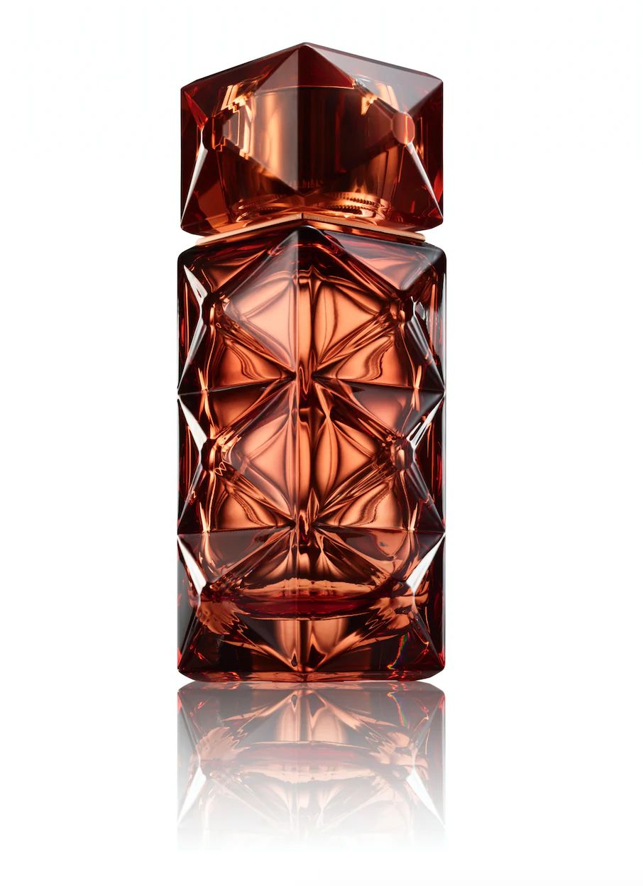 Mémoire d'une palmeraie